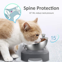 AYADA Raised Cat Food Bowl Stainless Steel 15 Degree Tilt – Essentials for Cats - Double - image 3
