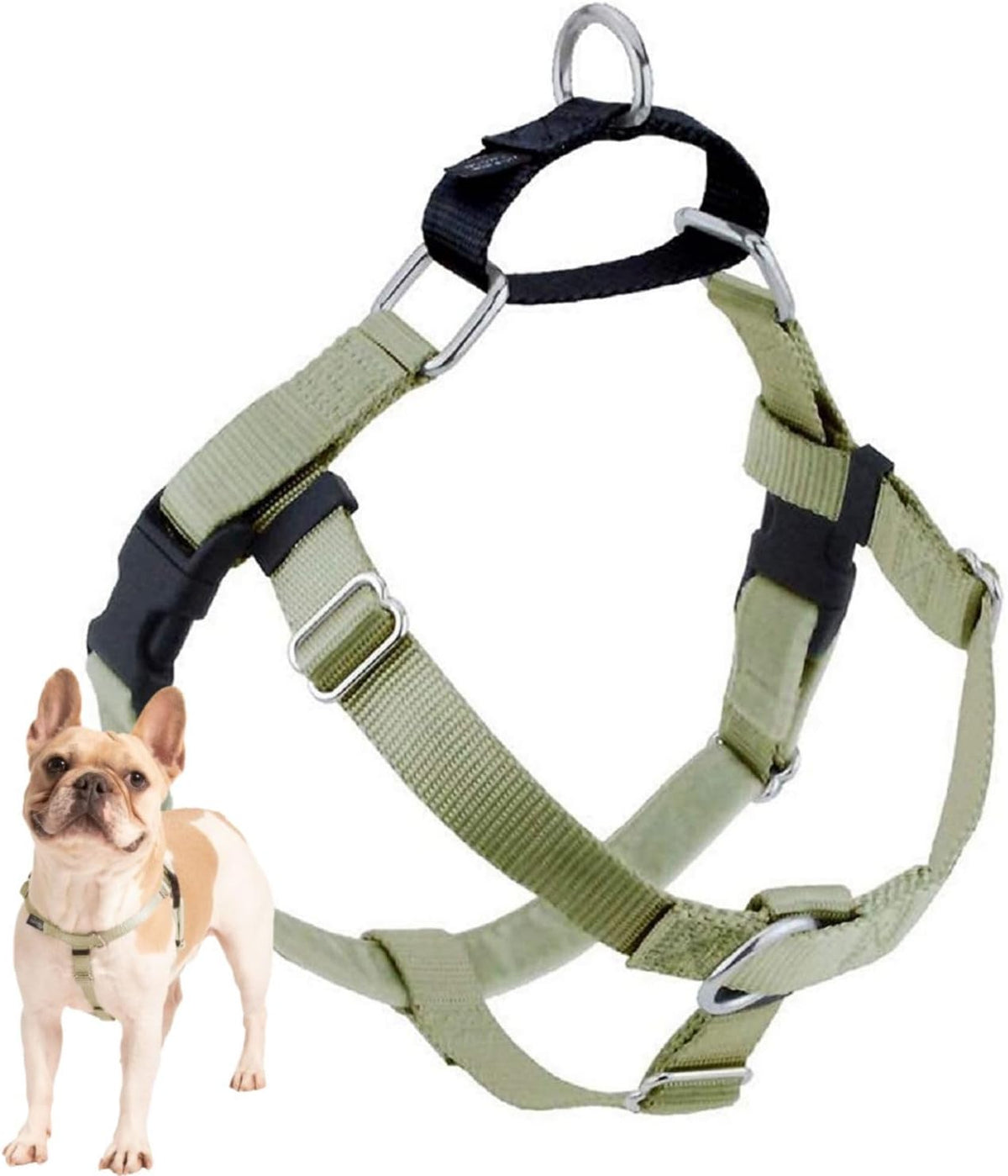 2 Hounds Design Freedom No Pull Dog Harness - Tan / LG (Chest 28" - 32")