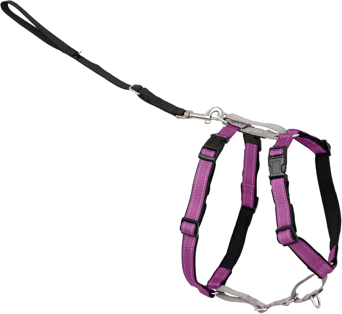 PetSafe 3 in 1 No-Pull Dog Harness, Walk, Train or Travel - Plum / Large (Pack of 1)