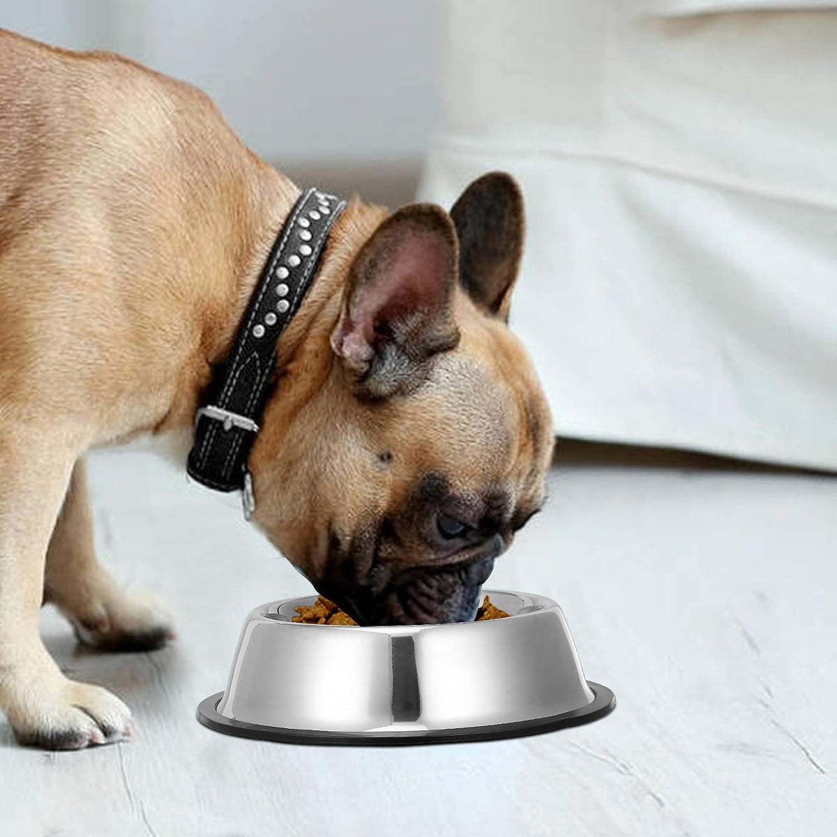 2 Pack Stainless Steel Dog Bowls with Rubber Bottom - 1½ Cup / 10 oz - image 3