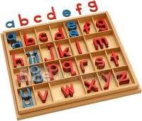 Elite Montessori Wooden Movable Alphabet with Box Preschool Spelling