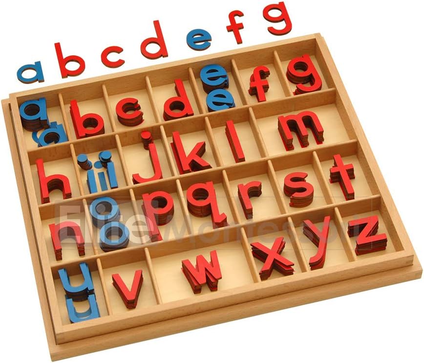 Elite Montessori Wooden Movable Alphabet with Box Preschool Spelling