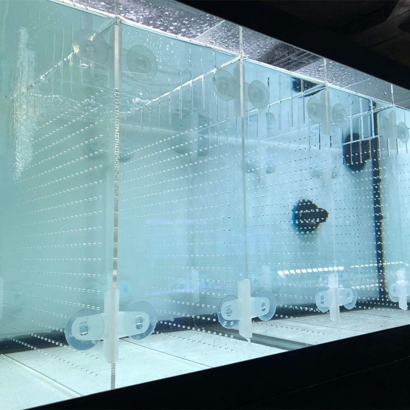 Acrylic Aquarium Divider Kit 5.5/10 / 20L / 20H / 29 / 40B / 55/75 / - 20gal High Aqueon