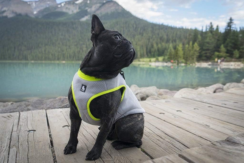 JUXZH Dog Cooling Vest, Evaporative Cooling Jacket Orange - Orange / Small (Chest 17.7-20.1") - image 2