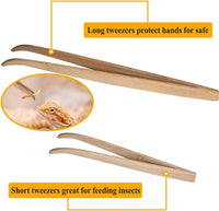 Reptile Bamboo Tweezers Lizard Feeder Tongs Feeding Tools for Bearded - image 4