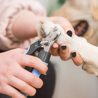 Pet Nail Clippers and Trimmers Set Safety Guard to Avoid Over Cutting - Blue - image 3