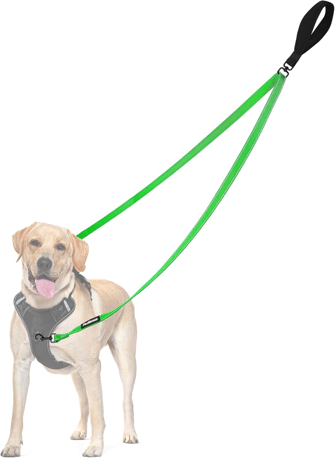 Two Point Control Dog Leash, No Tangle Training Walking Leashes – Essentials for Dogs - Grass Green