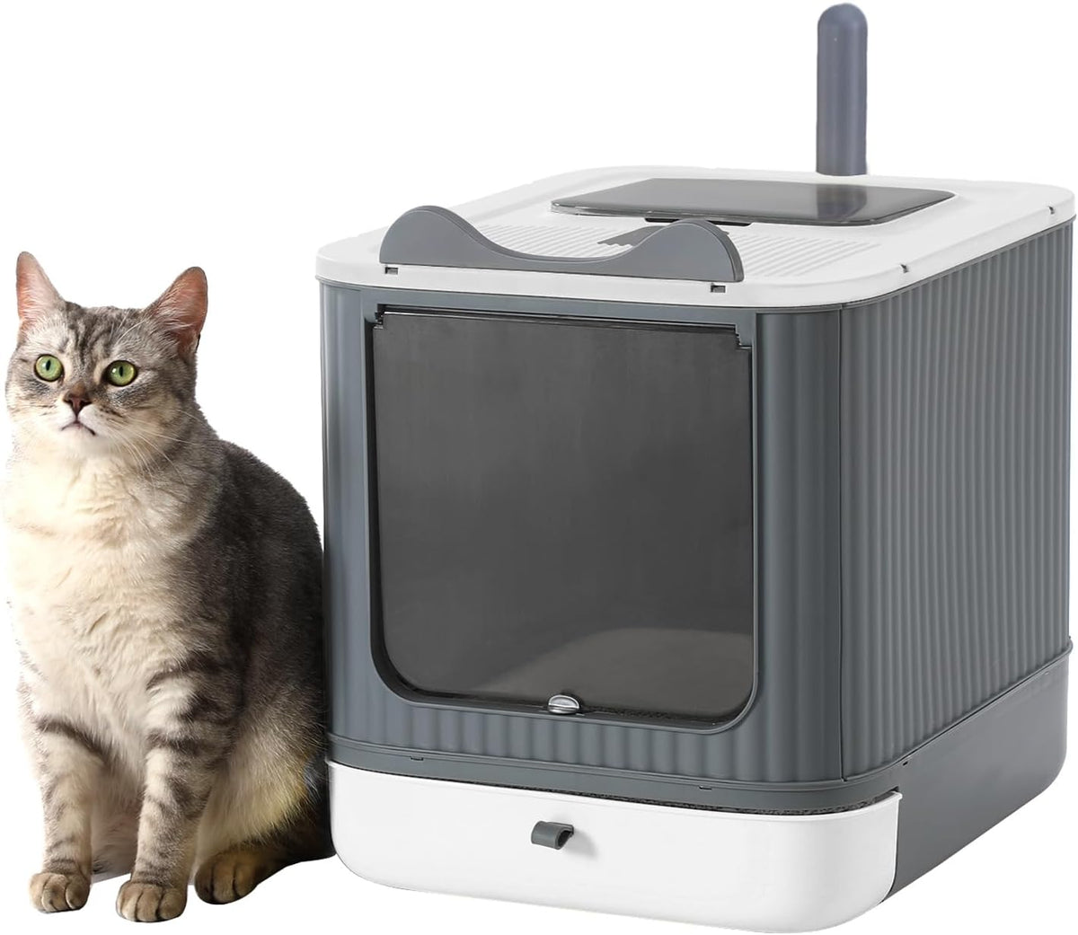 Foldable Enclosed Cat Litter Box with Lid, for Kitten to Medium - White&Grey