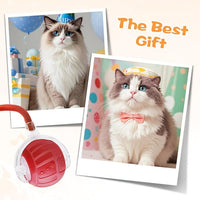 2026 New Interactive Pet Toy Ball, Smart Interactive Toy Ball for Cats & Dogs, Electric Rolling Pet Toy Ball, Rechargeable Interactive Cat Toys for Bored Indoor Cats Kittens to Keep Busy (Red)