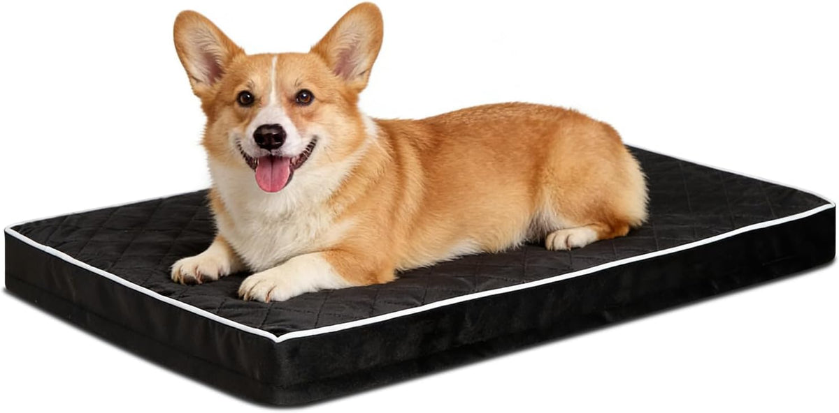Orthopedic XL Dog Beds Large Sized with Washable Cover, 41x27 - 35.0"L x 22.0"W x 3.0"Th / Black