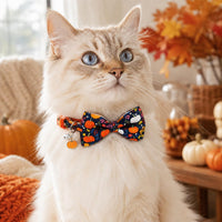 2 Pack Halloween Cat Collars with Bells, Breakaway - Pumpkin & Thanksgiving Turkey - image 3