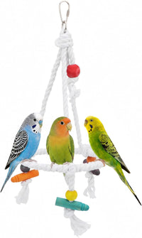 Hypeety Bird Swing Multi Birds Cotton Rope Round Hanging Hammock