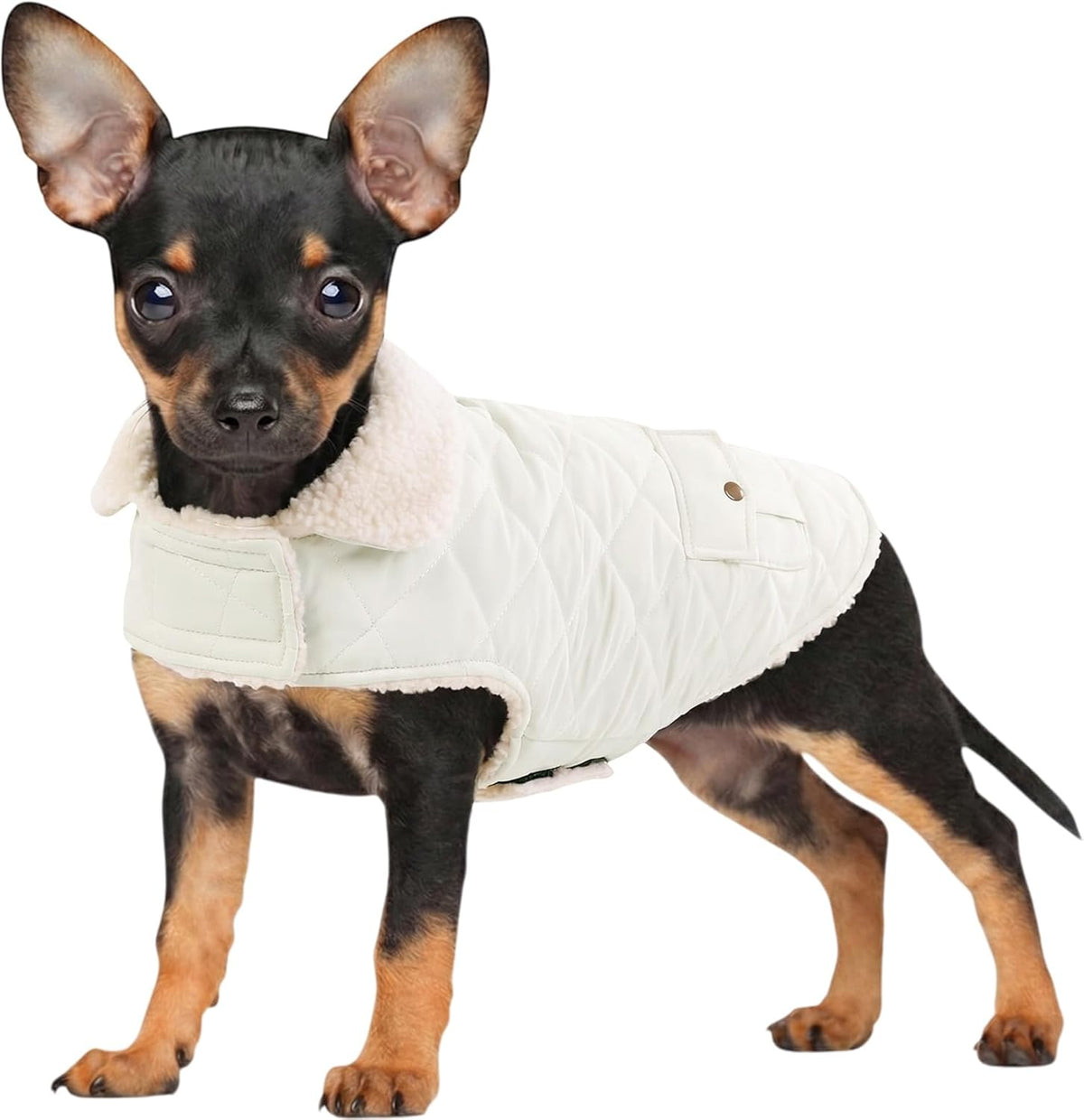 Dog Winter Coats for Small Dogs Puppies - Solid White / Small