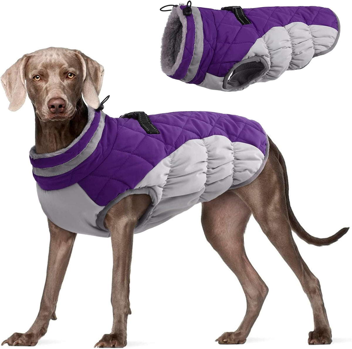 Dog Cold Weather Coats Reflective Dog Warm Jacket with Harness – Essentials for Dogs - Purple / L(chest:24in)