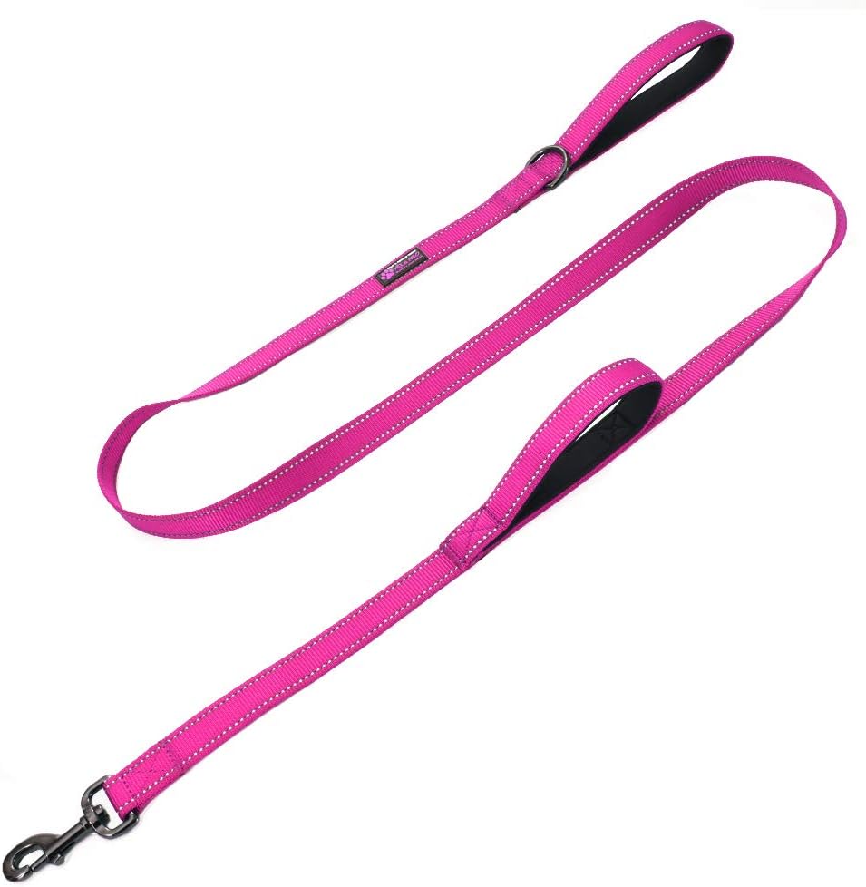 Max and Neo Double Handle Traffic Dog Leash, Reflective - 6 FT / Pink
