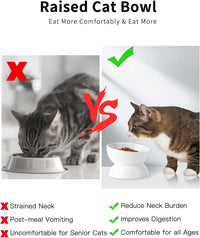 Cat Water Bowl, 15° Tilted and Raised Pet Food Dish - 2 Pack / White - image 3
