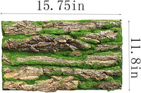 PINVNBY Reptile Terrarium Cork Background - 【Natural Cork Bark+Artificial Moss】 / 【2 PCS】 - image 4