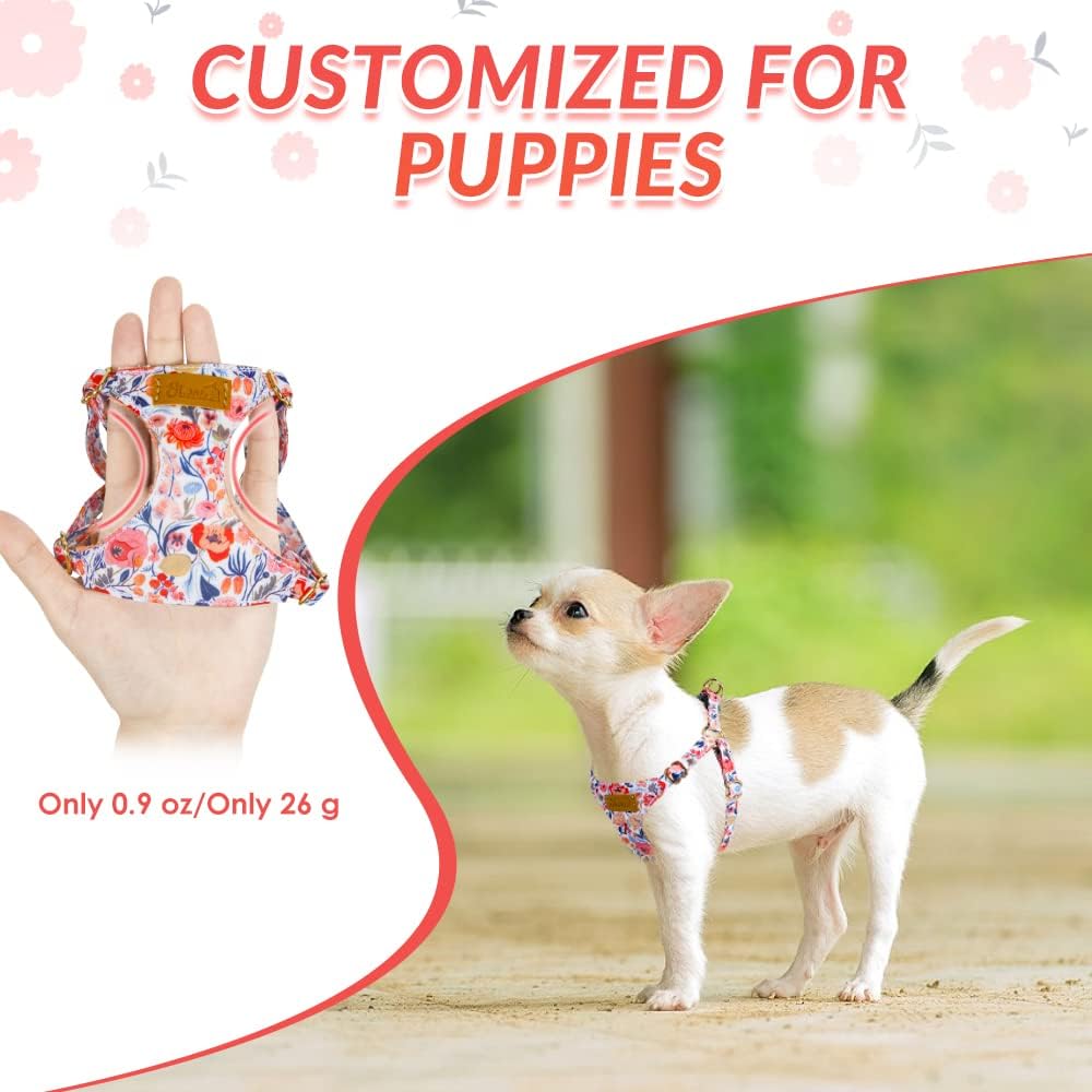 SlowTon No Pull Dog Harness with Leash for Small Medium Dogs - XX-Small(2.2-6lb) / Flower - image 2