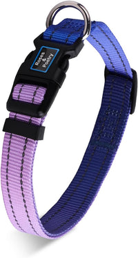 Roses&Poetry Reflective Dog Collar with Gradient Mistyrose - Medium / BluePurple