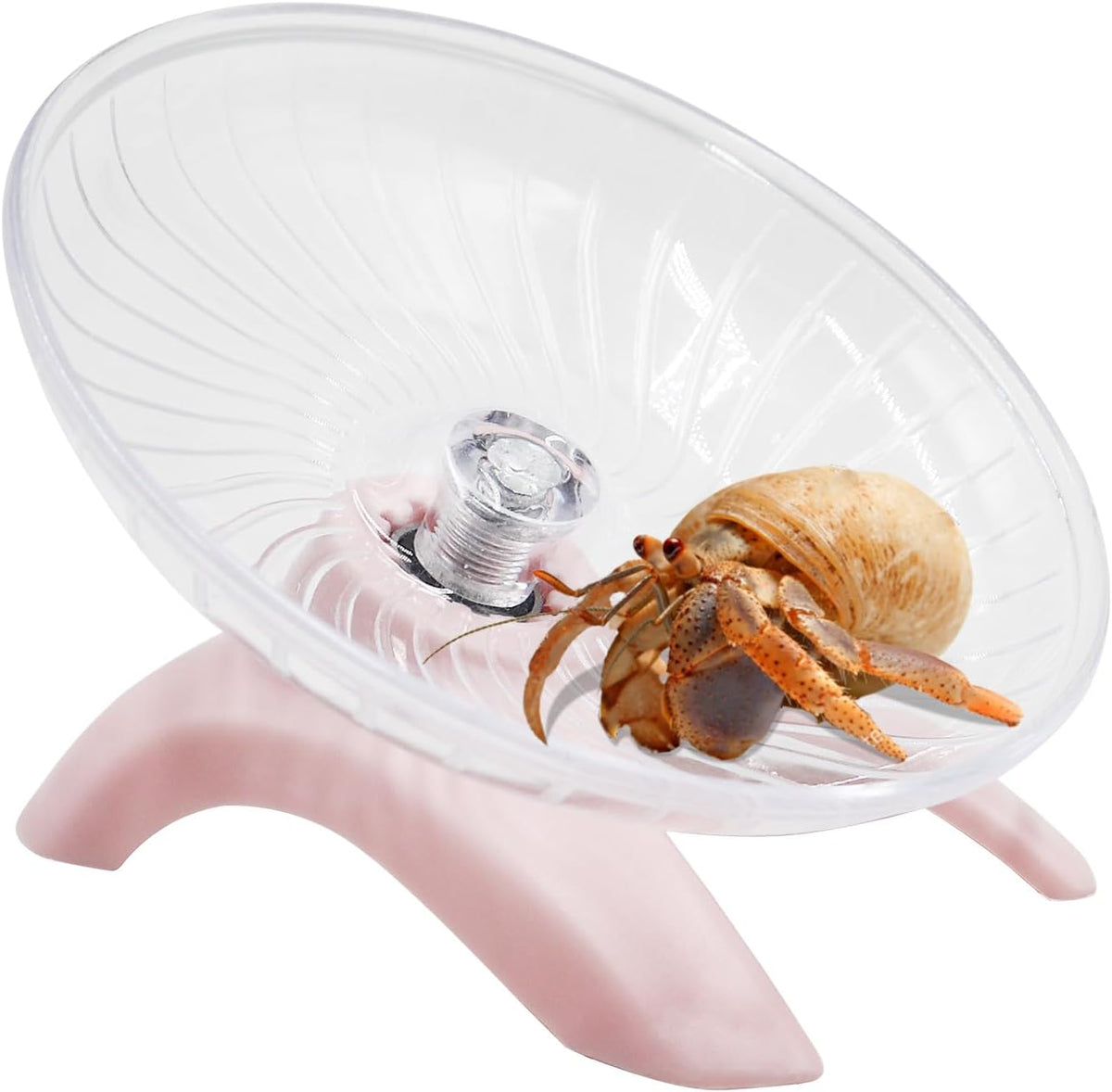 Hermit Crabs Wheel Toy, Hamster Running Wheel Toys - Small / Pink