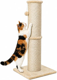 PAWSCRAT 32-Inch Tall Cat Scratching Post, Sisal - X-Large / Beige
