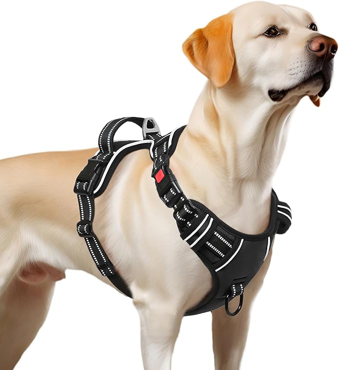 Timos Dog Harness, No-Pull Pet Harness with 2 Leash Clips, 3 Snap Buckles Adjustable Soft Padded Dog Vest, Reflective No-Choke Pet Oxford Vest with Easy Control Handle for Small Medium Large Dogs