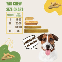 EcoKind Premium Gold Yak Cheese Himalayan Dog Chews, Dog Treats Large Breed, All Natural, High Protein, for Aggressive Chewers, Large - 2 Chews
