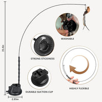 Cat Toys for Indoor Cats, Interactive Bird Cat Toy Self-Holding Suction Base with 5 Replaceable Birds, Door Hanging String, Feathers & Bells | Chase, Jump & Exercise for Kittens/Adult Cats