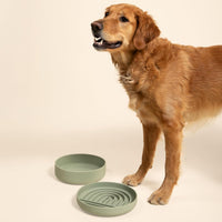 The Perfect Dish, Silicone Dog Bowl for Food & Water - Blush / Large (9.5” Across and 2.5” Tall) - image 4