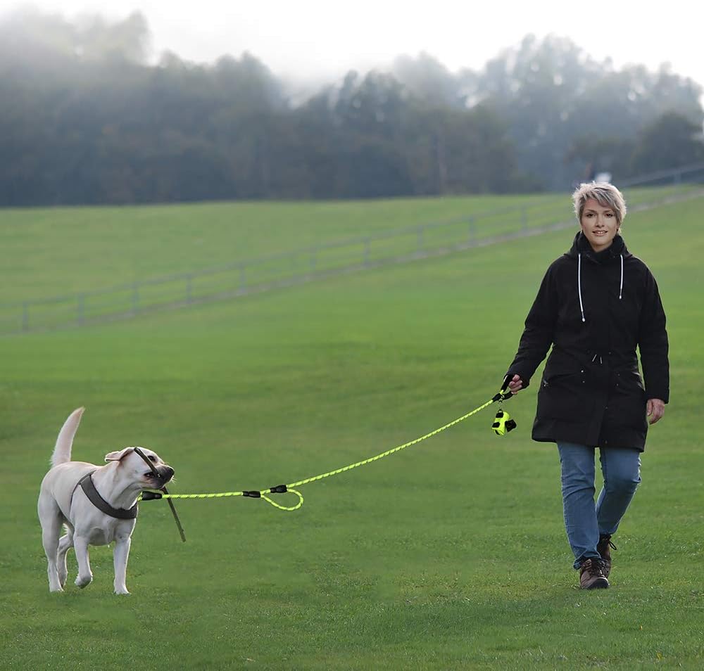 Plutus Pet Rope Dog Leash with Double Handles, Reflective - Rope-Green - image 2