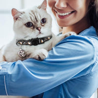 Baeuppit 2Pcs Breakaway Cats Collars Cat Collars for Boy & Girl Cats - 8.0-13.1" / Purple+Black - image 2