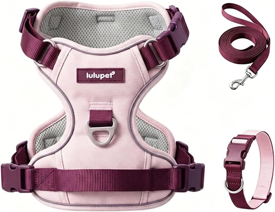Dog Harness and Leash Set with Collar - Pink / XS(Neck:13.4-16.5",Chest:16.5-19.7")