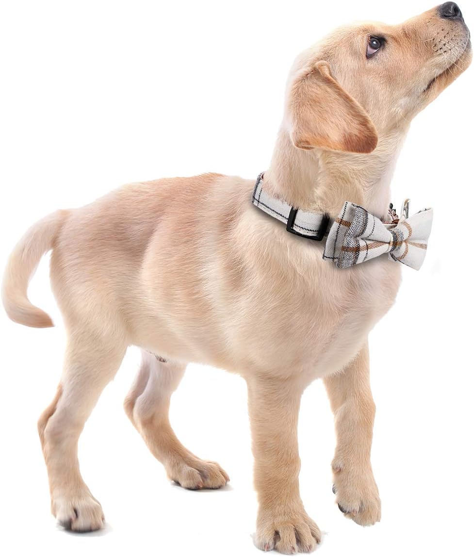 Faleela Soft &Comfy Bowtie Dog Collar - Small (Pack of 1) / Beige - image 3