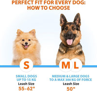 Active Pack Hands Free 2 Dogs Leash Medium & Large - Gray / 2 dogs M/L - image 2
