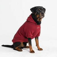 Spark Paws Dog Hoodie, Buttery-Soft Sweater Sweatshirt - Burgundy / 5XL
