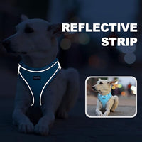 haapaw Dog Harness with Leash Set, No Pull Adjustable Reflective Step-in Puppy Harness with Thickened Padded Vest for Extra-Small/Small Medium Dogs