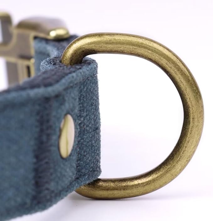 PET ARTIST Dog Collars for Medium Dogs, Soft Padded Premium Nylon Dog Collar with Quick Release Metal Buckle, Durable & Adjustable Pet Collars for Boy Gifts, Blue, M (Fit 13-20")