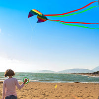 HENGDA rainbow parafoil kite with long tail, string winder and carry bag - view 4