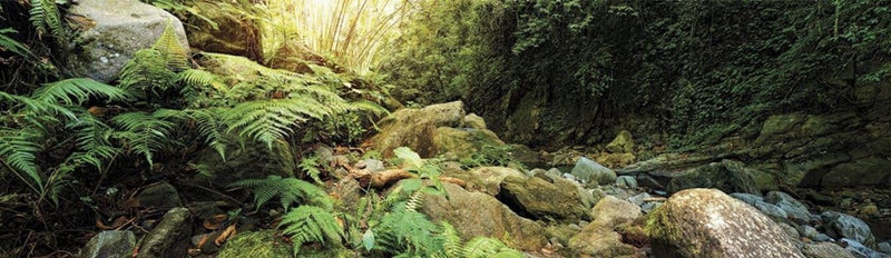 Galápagos Terrarium Background Clings, 11.125" x 36" - Woodland
