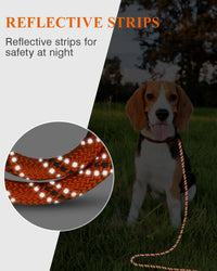 Taglory Long Dog Leash, 15FT 30FT 50FT 66FT, Training and Recall Leash with Comfortable Padded - 50 Foot - with handle / Orange - image 2
