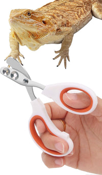 Stainless Steel Bearded Dragon Nail Clippers - Orange