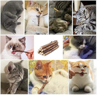 20 PCS Cat Catnip Sticks Natural Matatabi Silvervine Sticks - Cleaning Teeth Molar Tools Kitten Chew Toy Natural Catnip Cats Toy