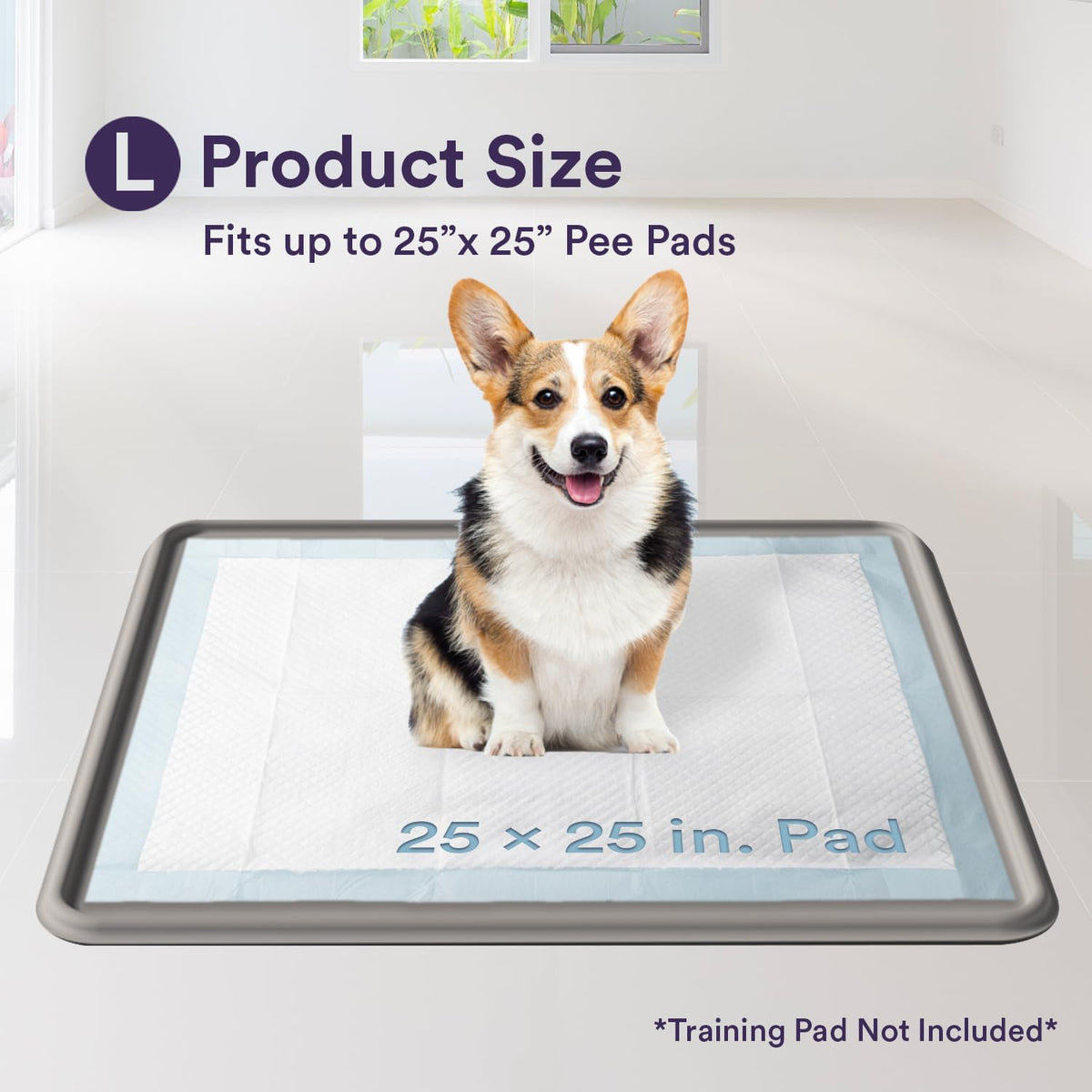 Pee Pad Tray Holder for Dogs - Large / Gray - image 3