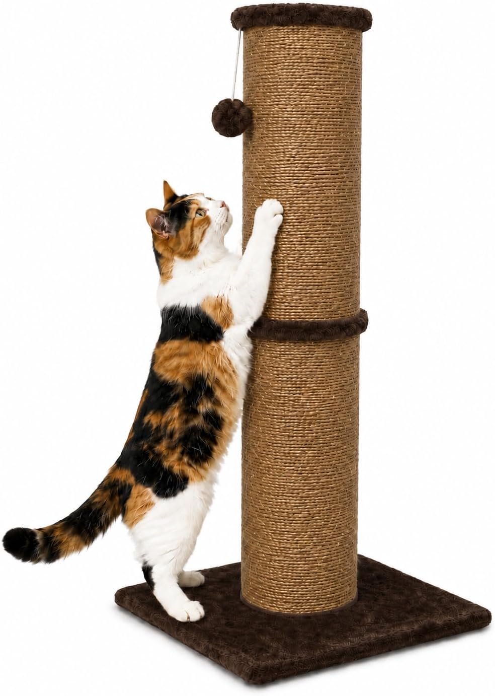 PAWSCRAT 32-Inch Tall Cat Scratching Post, Sisal - X-Large / Chocolate Brown