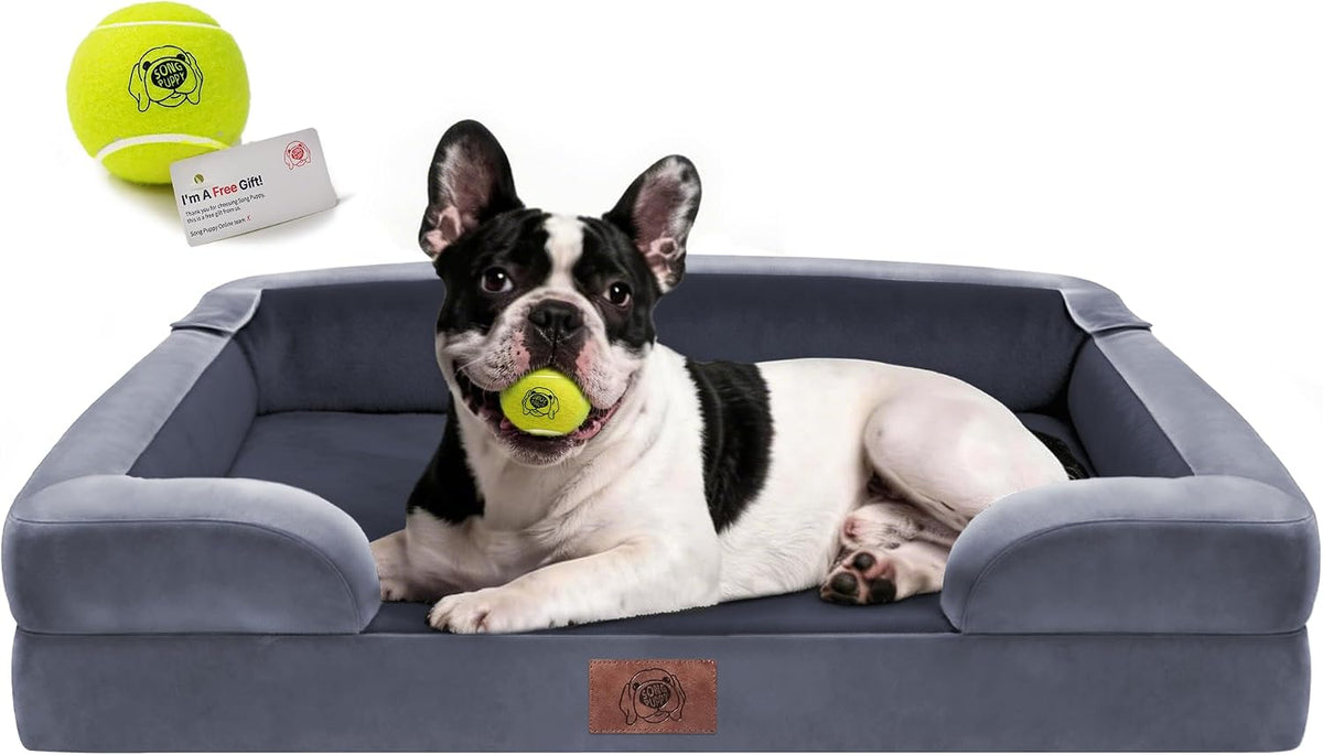 Waterproof Orthopedic Dog Bed for Extra Large Sized Dogs – Essentials for Dogs - 30 x 20 x 3 in / Dark Grey