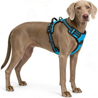 Blue No-Pull Dog Harness with 2 Leash Clips，Soft Padded Vest - X-Large / Blue