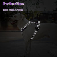 PUPTECK No Pull Dog Harness for Large, Adjustable Reflective Dog Harness with Handle Easy Control, Comfortable Soft Padded Pet Vest Harness for Extra Large Dogs, Solid Purple XL