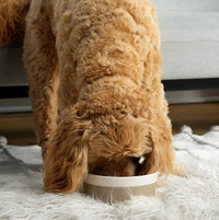 Waggo Dipper Ceramic Dog Bowl Heavyweight Durable Dog Food and Water Dish (Large, Teracotta)