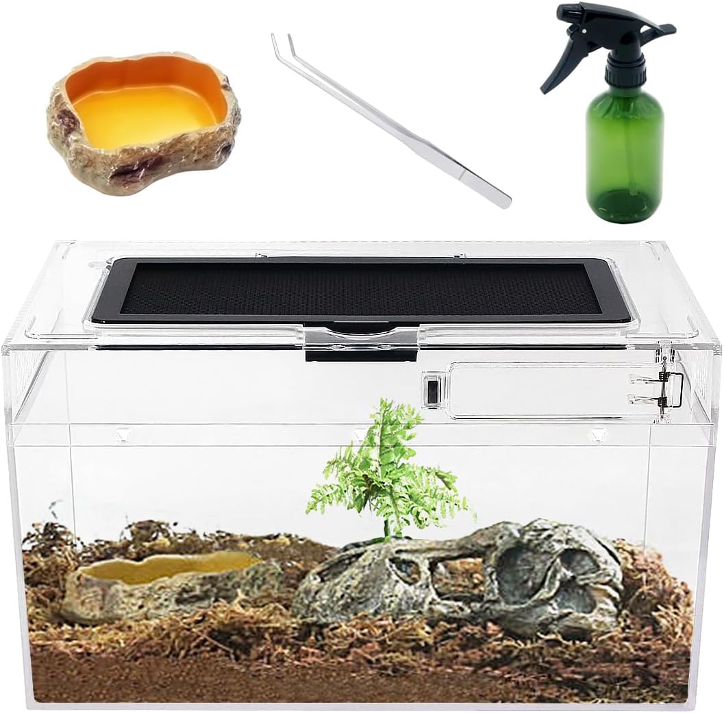 Mini Reptile Terrarium Set - 11.8" x 7"x 6"