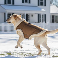 Retro Aviator Dog Jacket – Faux Leather Winter Coat with Plush Sherpa Fleece Lining for Bulldog - Coffee / XX-Large - image 4